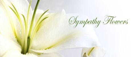 Beautiful Seasonal Flowers Banner